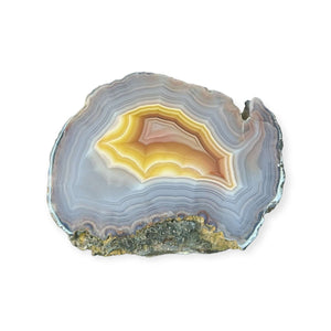 LAGUNA AGATE 242 - Del Rey Agates Gems & Minerals Inc.