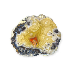 LAGUNA AGATE 244 - Del Rey Agates Gems & Minerals Inc.