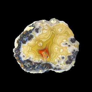 LAGUNA AGATE 244 - Del Rey Agates Gems & Minerals Inc.