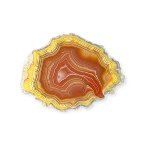 LAGUNA AGATE 245 - Del Rey Agates Gems & Minerals Inc.