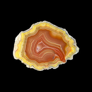 LAGUNA AGATE 245 - Del Rey Agates Gems & Minerals Inc.