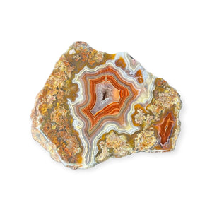 LAGUNA AGATE 246 - Del Rey Agates Gems & Minerals Inc.