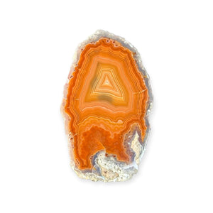 LAGUNA AGATE 248 - Del Rey Agates Gems & Minerals Inc.