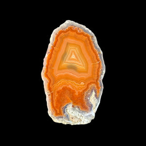 LAGUNA AGATE 248 - Del Rey Agates Gems & Minerals Inc.