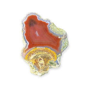 LAGUNA AGATE 249 - Del Rey Agates Gems & Minerals Inc.