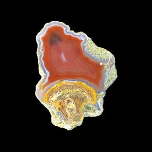 LAGUNA AGATE 249 - Del Rey Agates Gems & Minerals Inc.
