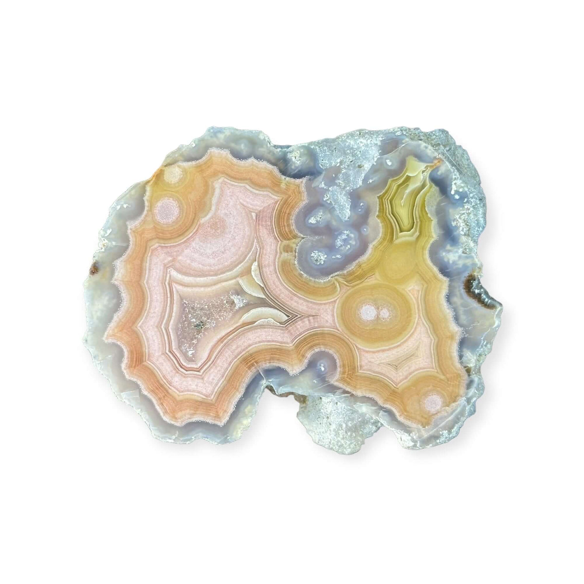 LAGUNA AGATE 251 - Del Rey Agates Gems & Minerals Inc.