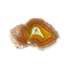 LAGUNA AGATE 256 - Del Rey Agates Gems & Minerals Inc.