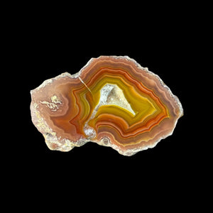 LAGUNA AGATE 256 - Del Rey Agates Gems & Minerals Inc.