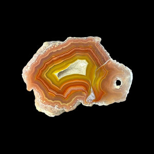 LAGUNA AGATE 257 - Del Rey Agates Gems & Minerals Inc.