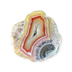 LAGUNA AGATE 259 - Del Rey Agates Gems & Minerals Inc.