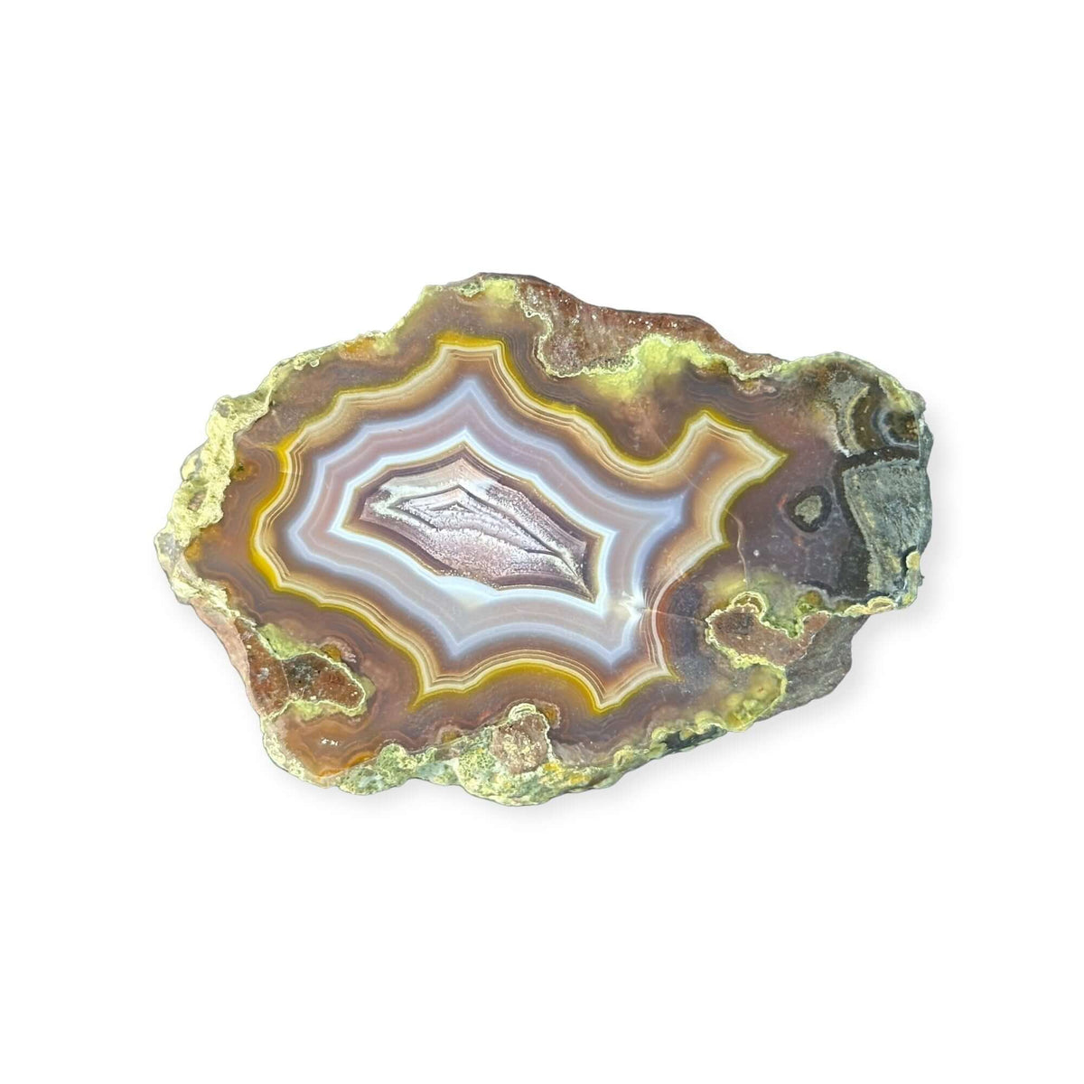 LAGUNA AGATE 261 - Del Rey Agates Gems & Minerals Inc.