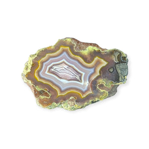 LAGUNA AGATE 261 - Del Rey Agates Gems & Minerals Inc.