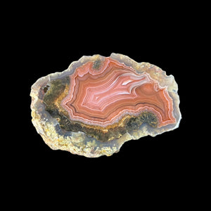 LAGUNA AGATE 262 - Del Rey Agates Gems & Minerals Inc.