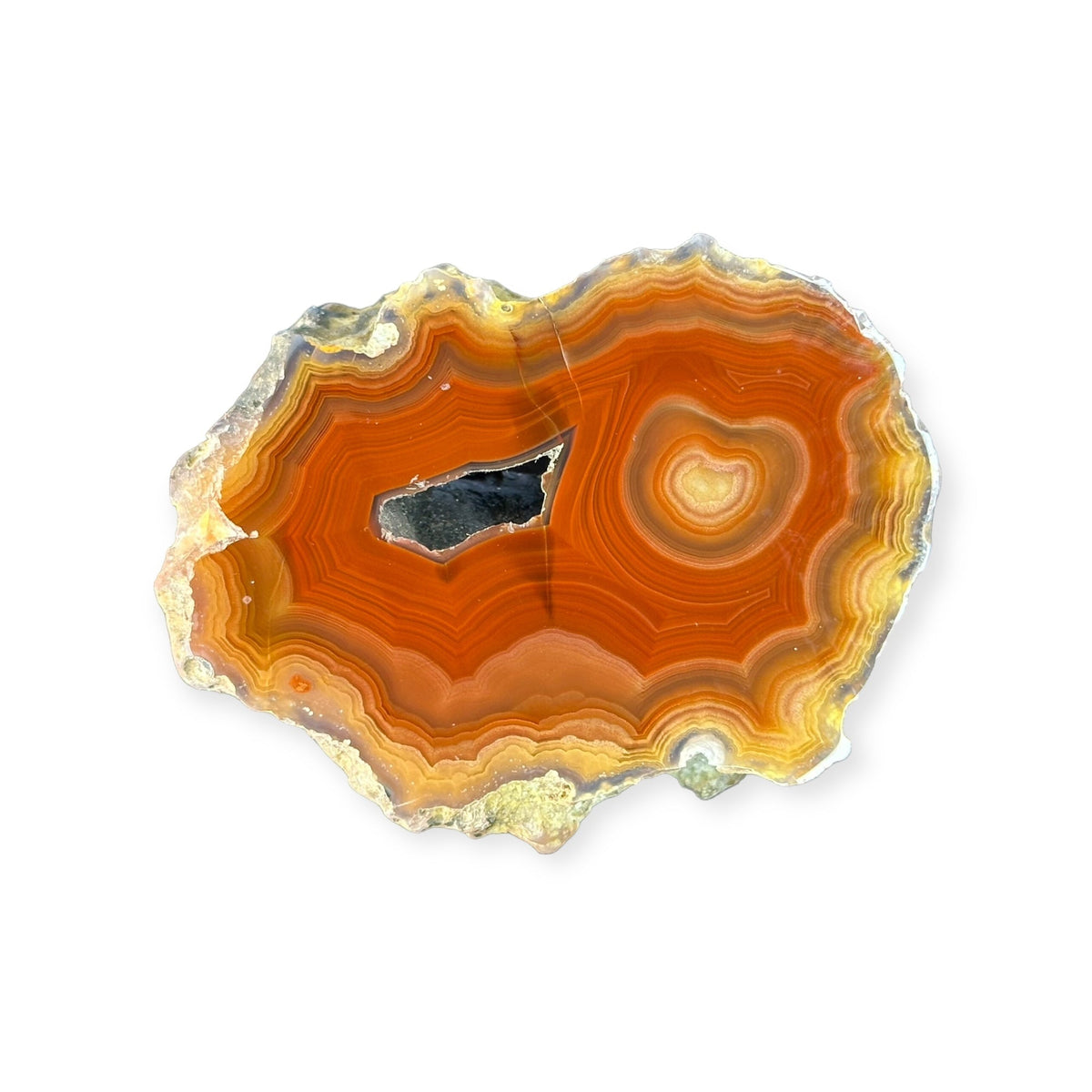 LAGUNA AGATE 263 - Del Rey Agates Gems & Minerals Inc.