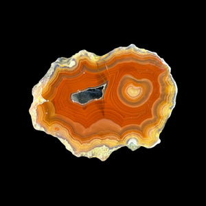 LAGUNA AGATE 263 - Del Rey Agates Gems & Minerals Inc.