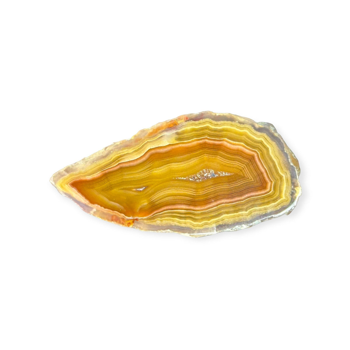 LAGUNA AGATE 264 - Del Rey Agates Gems & Minerals Inc.