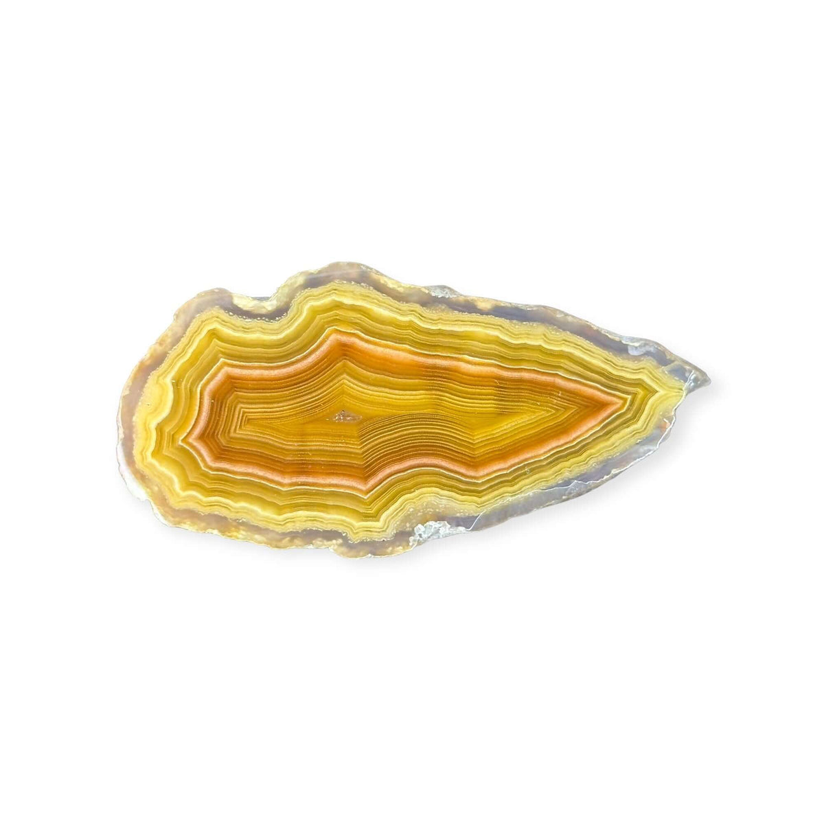 LAGUNA AGATE 265 - Del Rey Agates Gems & Minerals Inc.
