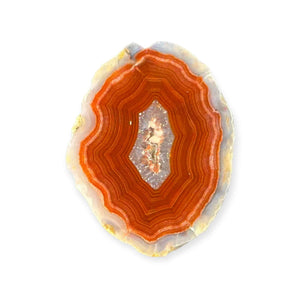 LAGUNA AGATE PAIR 3 - Del Rey Agates Gems & Minerals Inc.