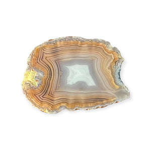 LAGUNA AGATE PAIR 4 - Del Rey Agates Gems & Minerals Inc.