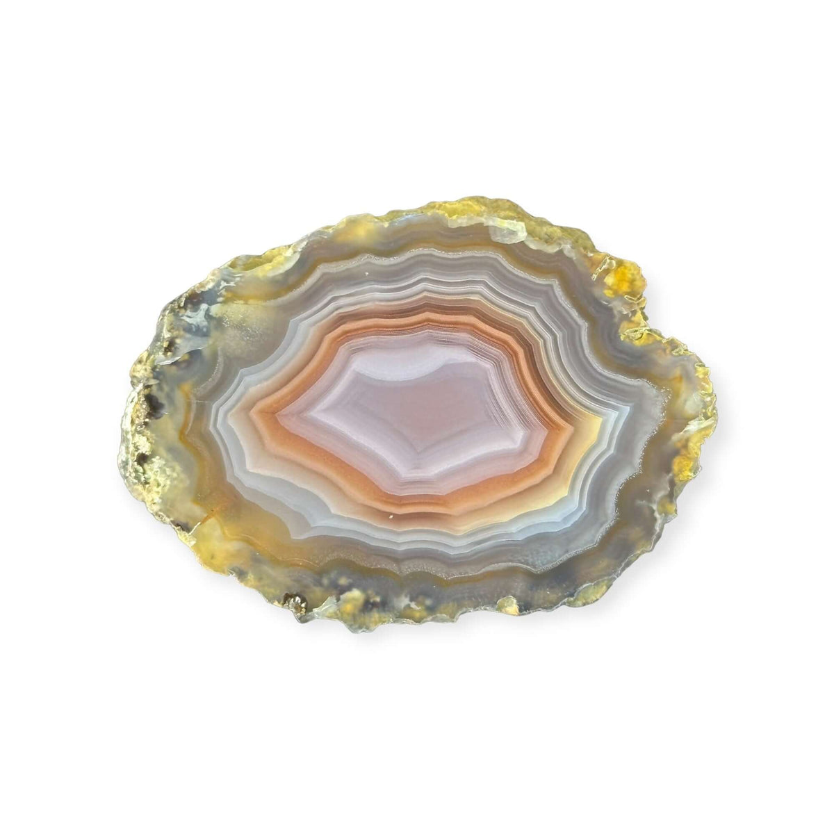 LAGUNA AGATE 268 - Del Rey Agates Gems & Minerals Inc.