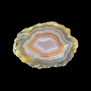 LAGUNA AGATE 268 - Del Rey Agates Gems & Minerals Inc.
