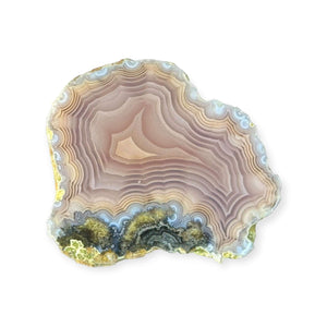 LAGUNA AGATE 269 - Del Rey Agates Gems & Minerals Inc.