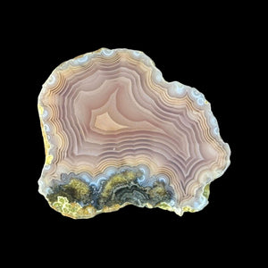 LAGUNA AGATE 269 - Del Rey Agates Gems & Minerals Inc.