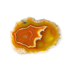 LAGUNA AGATE PAIR 1 - Del Rey Agates Gems & Minerals Inc.