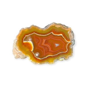 LAGUNA AGATE PAIR 1 - Del Rey Agates Gems & Minerals Inc.