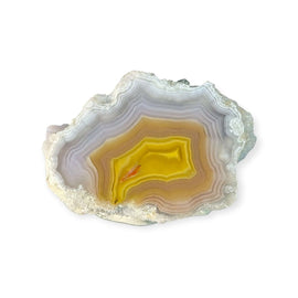 LAGUNA AGATE 271 - Del Rey Agates Gems & Minerals Inc.