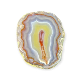 LAGUNA AGATE 273 - Del Rey Agates Gems & Minerals Inc.