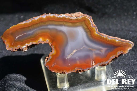 Coyamito Agate 01-Fb01-01A