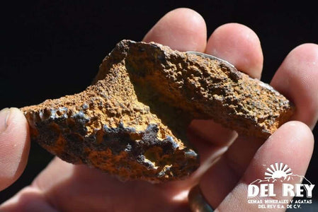 01-Fb01-01A Coyamito Agate