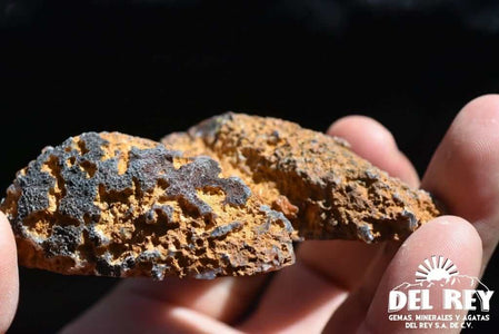 01-Fb01-01A Coyamito Agate