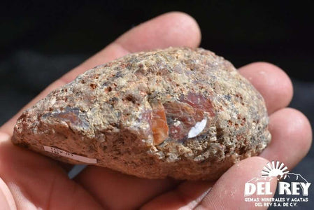 01-Fb01-02B Coyamito Agate