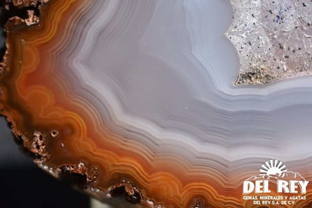 01-Fb01-03B Coyamito Agate