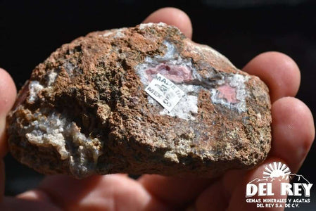 01-Fb01-05B Coyamito Agate