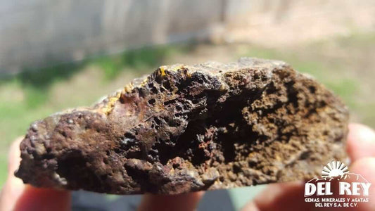 01-Fb01-06B Coyamito Agate