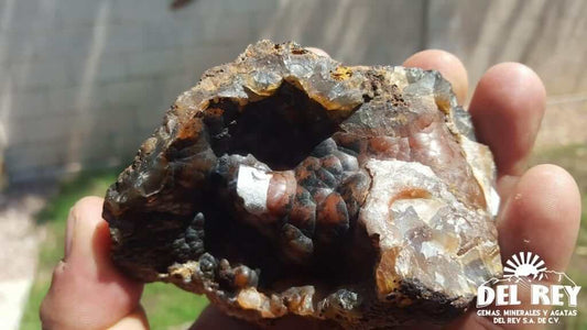 01-Fb01-06B Coyamito Agate