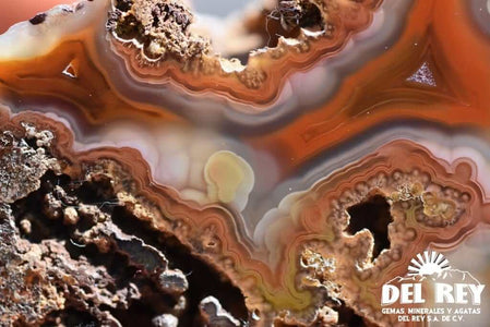 01-Fb01-06B Coyamito Agate