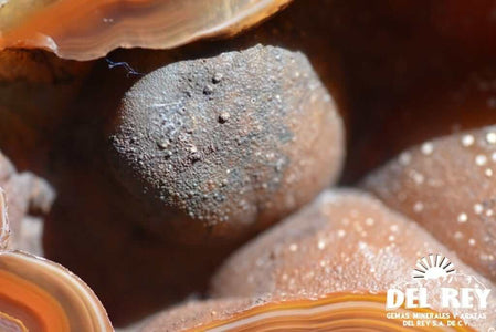 01-Fb01-07A Coyamito Agate