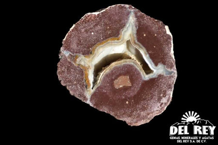 Coyamo Thunder Egg 01-1-1A Egg