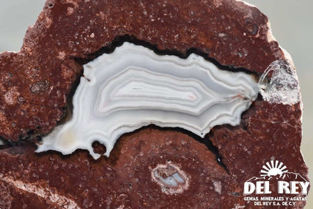 Del Rey Thunder Eggs Fb01-08A Egg