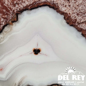 Del Rey Thunder Eggs Fb01-11B Egg